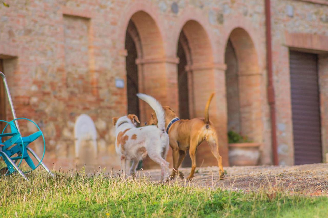 La Ripolina Buonconvento